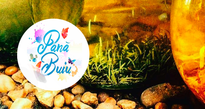 Pana Buiu