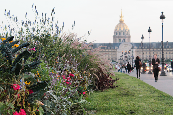 Flores e Invalides ao fundo - viagem França