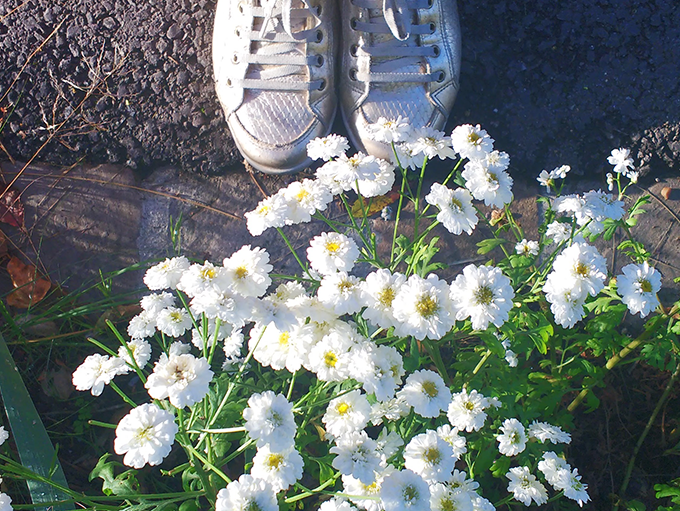 Pés e flores